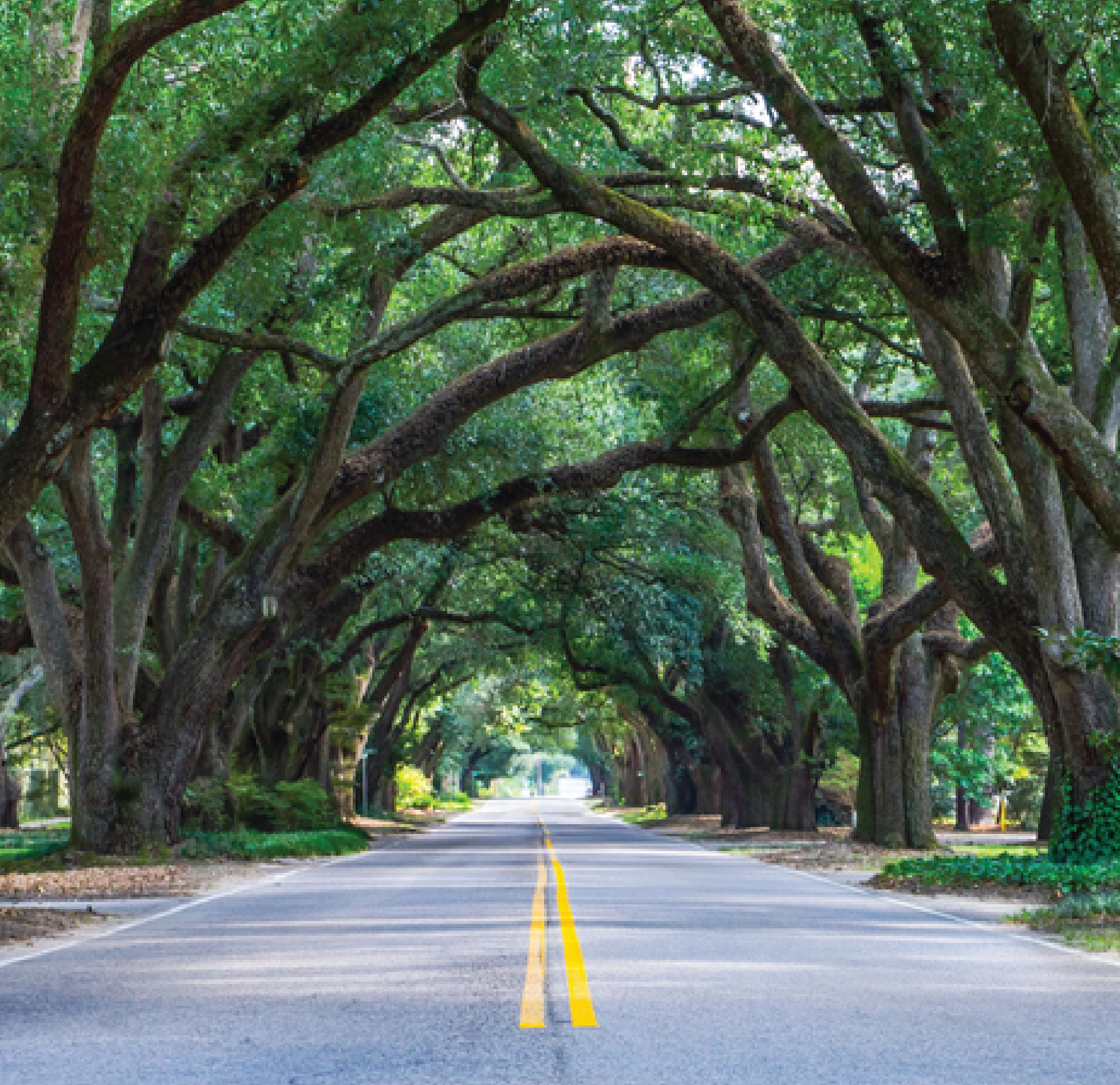 Why Augusta-Aiken Businesses <br><span class="fw-light">Trust Segra </span>